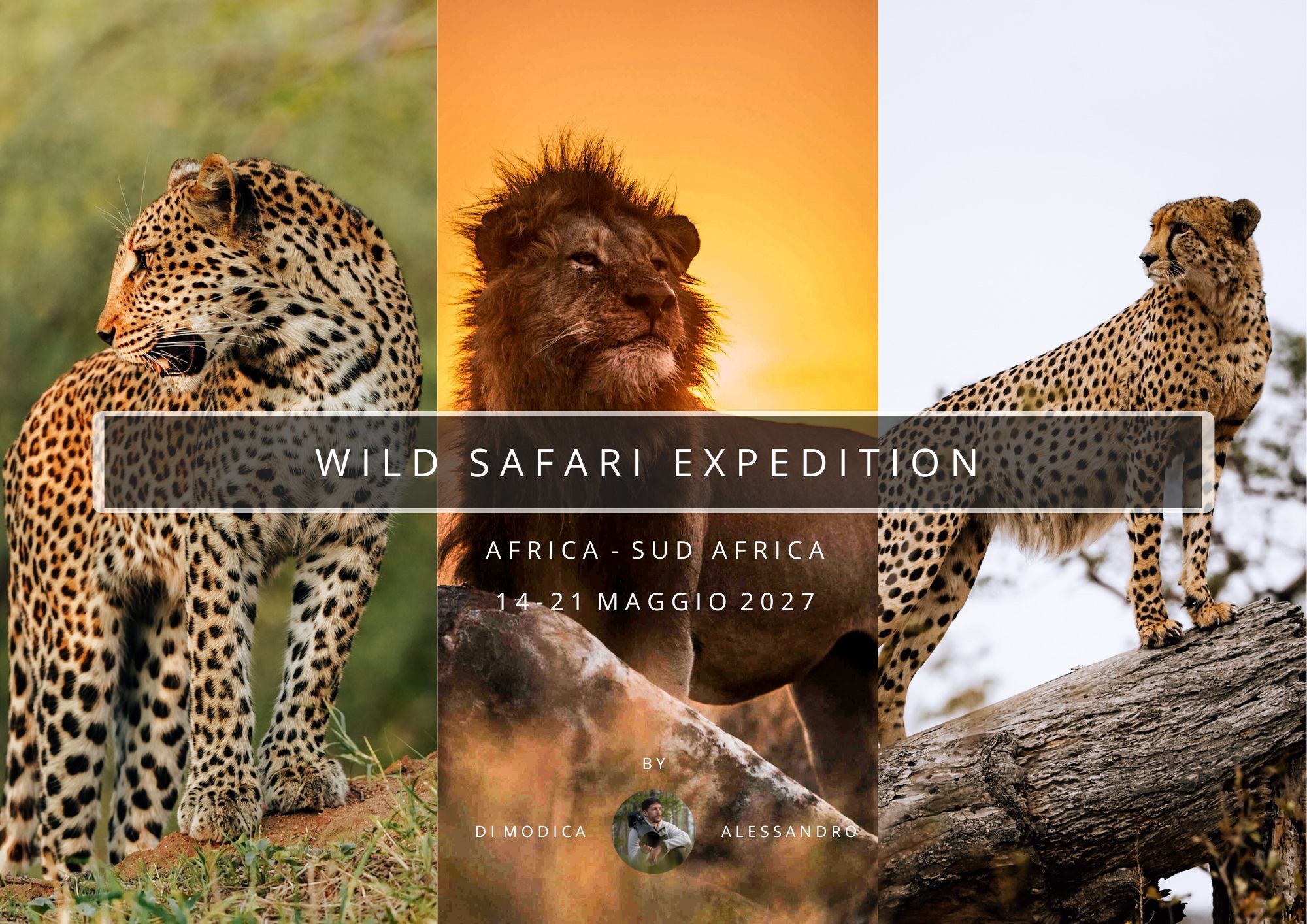 WILD SAFARI EXPEDITION